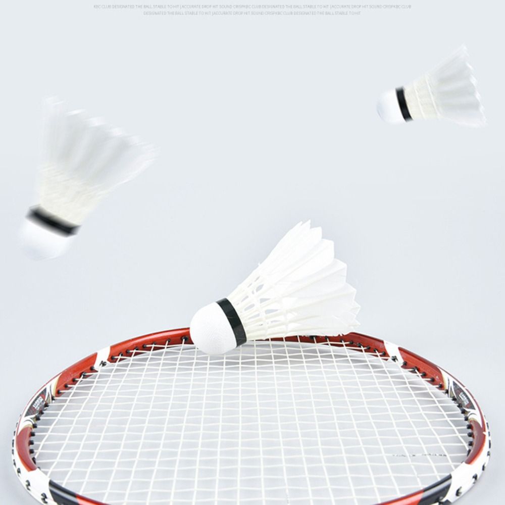 3/6/12 قطعة من كرات الريشة الط - مراجعة Feather Shuttlecock وسعره
