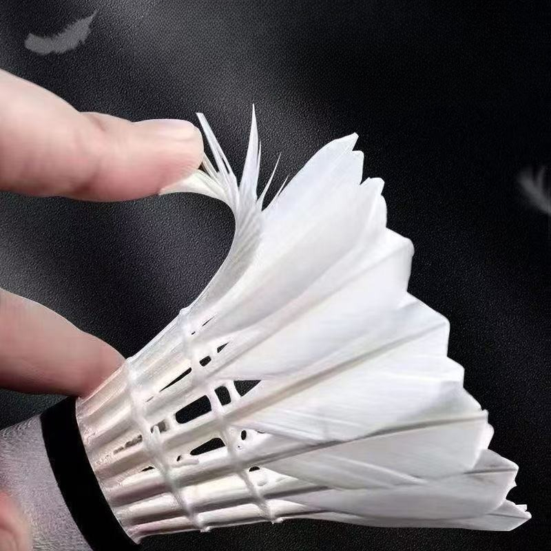 كرات بدمنتون عالية الجودة مصنو - مراجعة Feather Shuttlecock وسعره