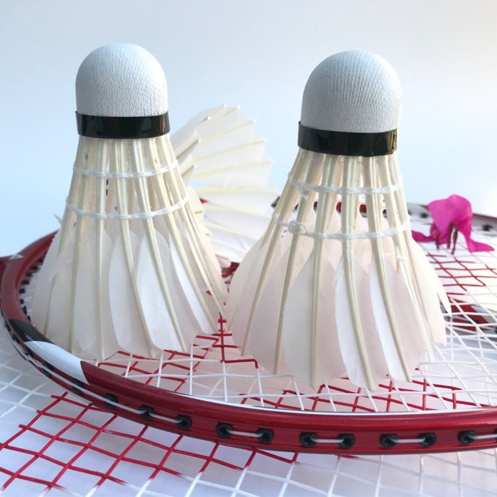 3/6/12 قطعة جديد الأبيض الريشة - مراجعة Feather Shuttlecock وسعره