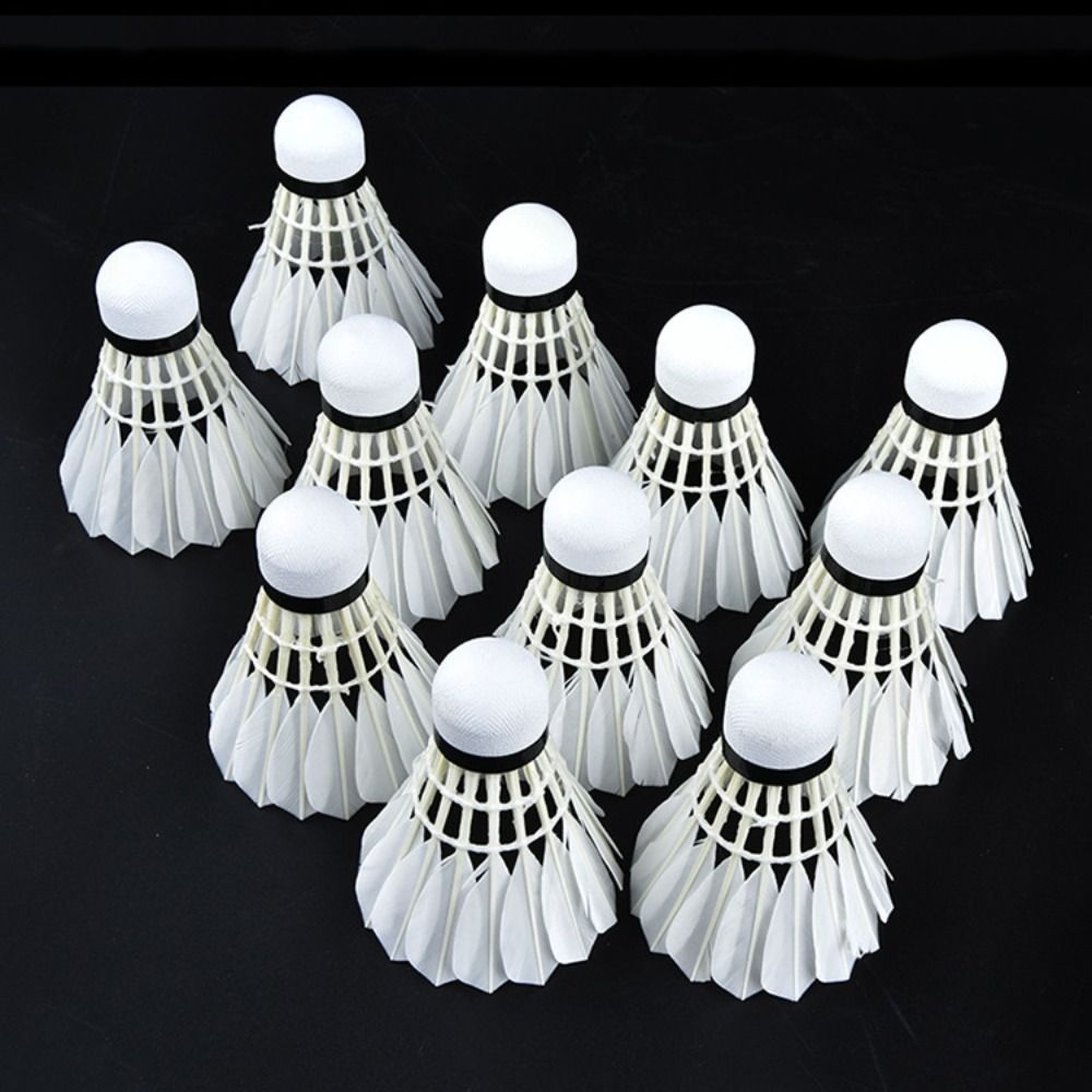 3/6/12 قطعة من كرات الريشة الط - مراجعة Feather Shuttlecock وسعره
